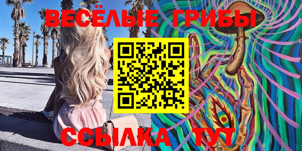 закладка  Псилоцибиновые грибы ЛСД  Вход с VPN  Сегежа 